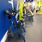 Commercial Gym Equipment Manufacturers in Newtown 10